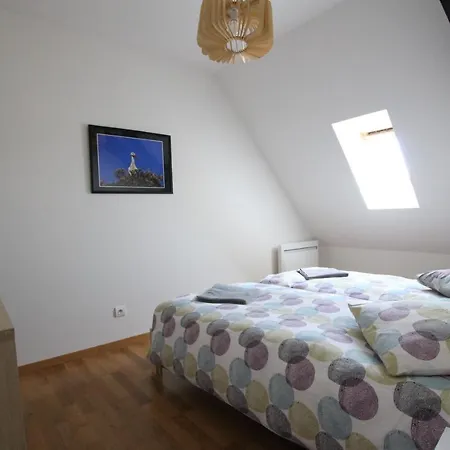 Apartamento Historic Center - Saint Martin - Bookingalsace Colmar