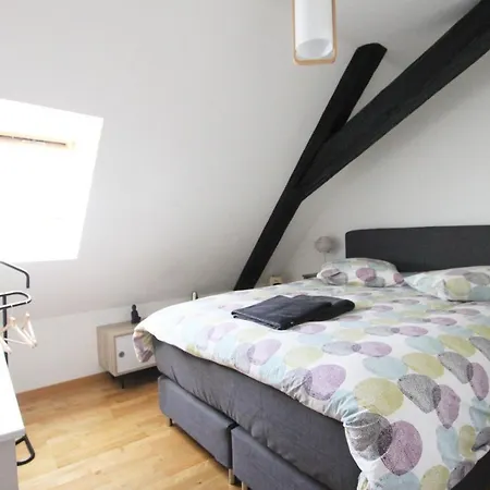 Apartamento Historic Center - Saint Martin - Bookingalsace Colmar